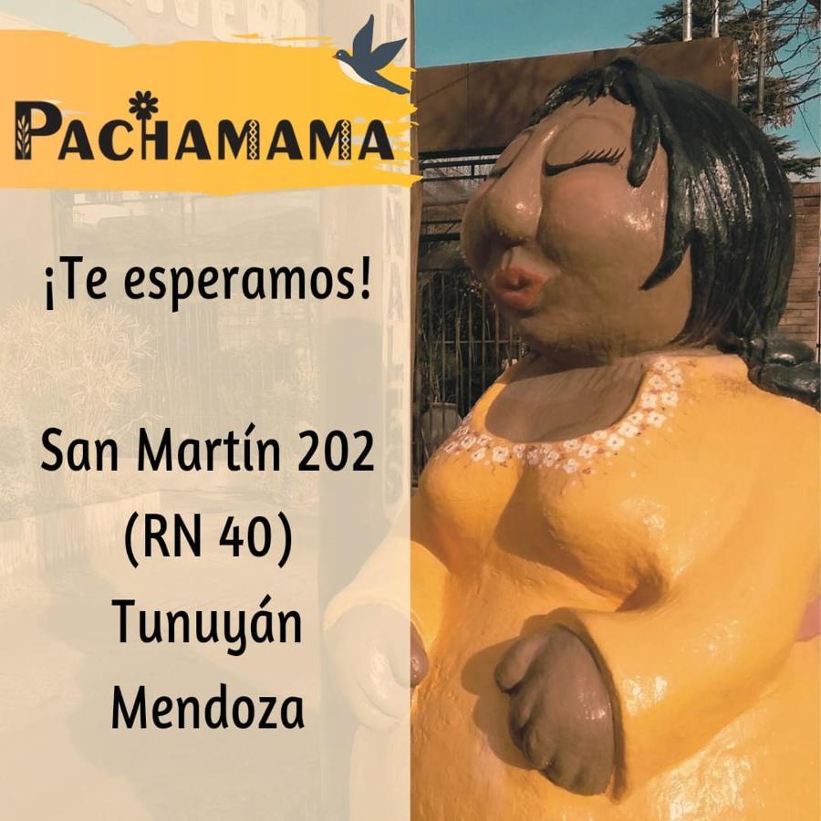 TunuyánDepartamentos Pachamamaアパートメント エクステリア 写真